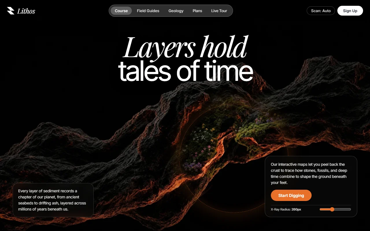 Interactive Discovery